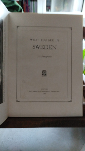 Portada del libro What you see in Sweden