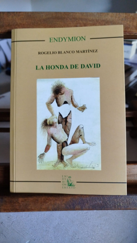 Portada del libro de La honda de David