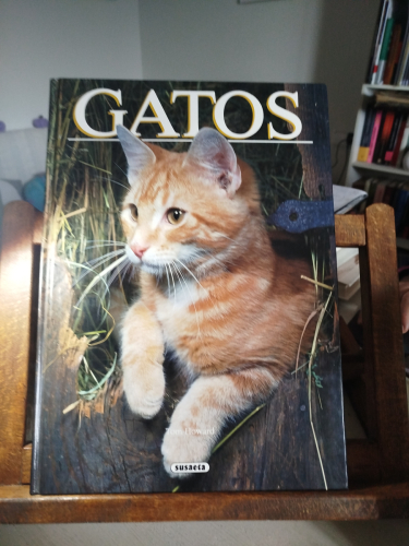 Portada del libro de Gatos. Ediciones Susaeta. 1991