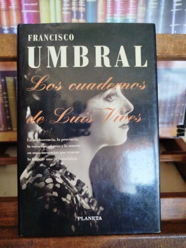 Portada del libro de Los cuadernos de Luis Vives (1ª edición)
