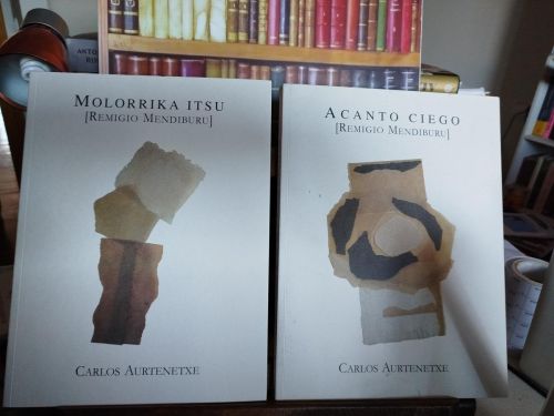 Portada del libro de Molorrika itsu : (Remigio Mendiburu) = [Acanto ciego] 