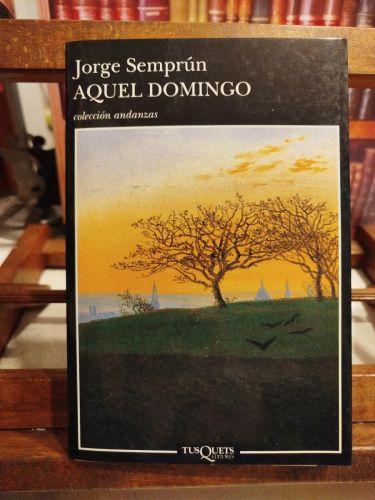 Portada del libro de Aquel domingo