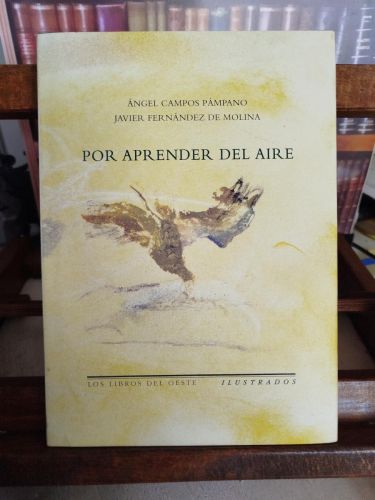 Portada del libro de Por aprender del aire