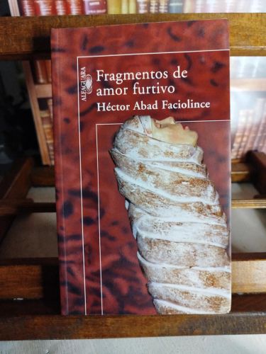 Portada del libro de Fragmentos de amor furtivo