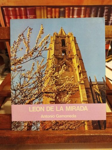 Portada del libro de León de la mirada