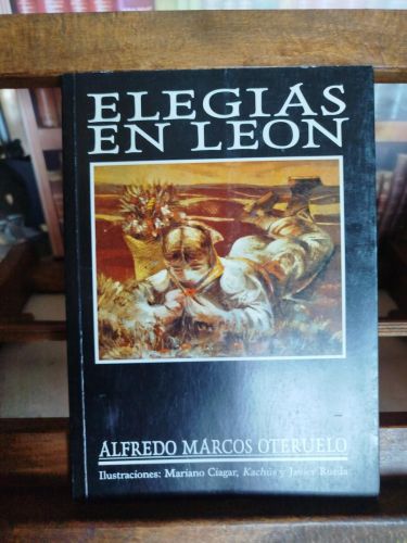 Elegías en León 