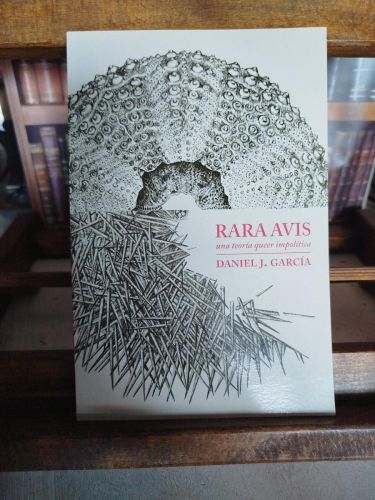 Rara avis: una teoría queerimpolítica