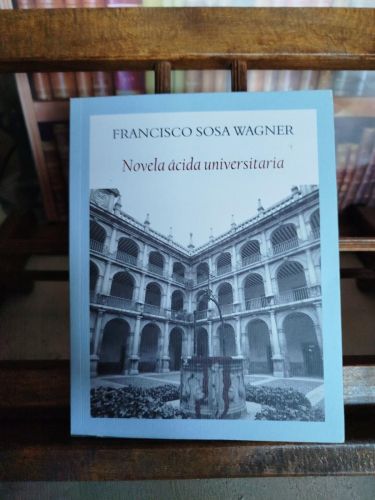 Novela ácida universitaria: Aventuras, donaires y pendencias en los claustros